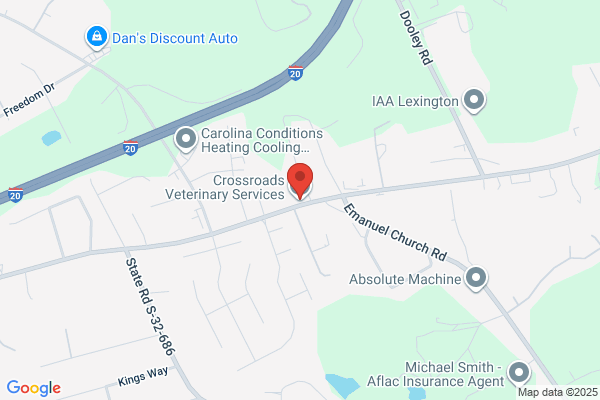 Crossroads Veterinary Services