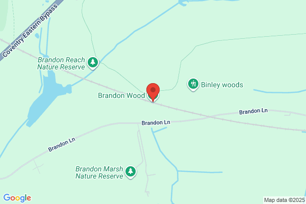 Brandon Woods