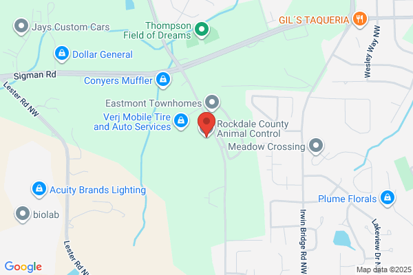 Rockdale County of, Animal Control