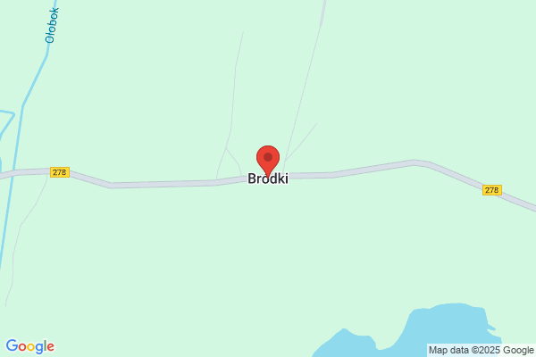 Brodkey's