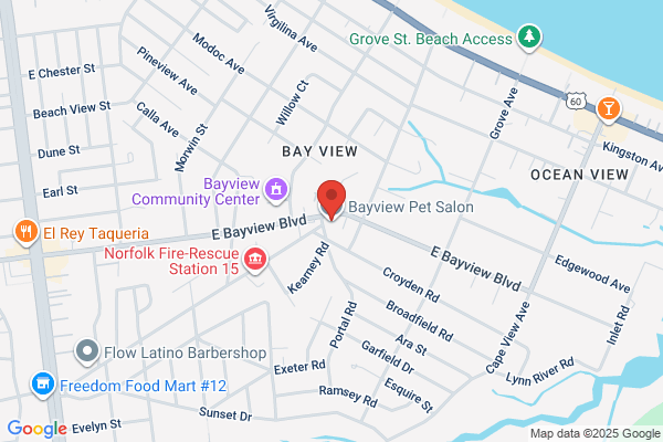 By the Bay Pet Grooming