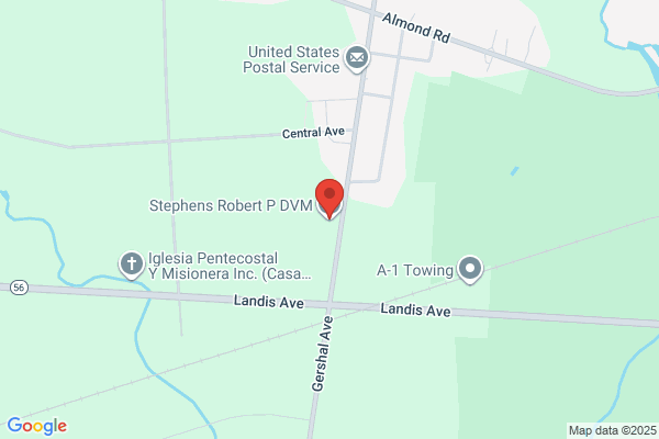 Stephens Robert P Vmd