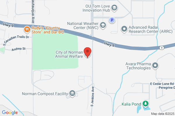 Animals, Animal Shelters, Norman
