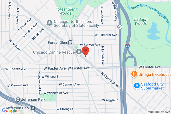 Visiting Angels Chicago