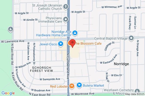Athletico Physical Therapy - Norridge