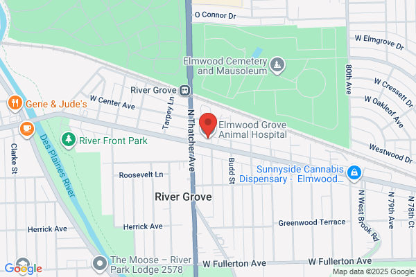 Elmwood Grove Animal Hospital