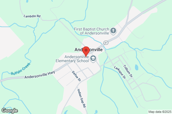 Andersonville Bus Lines Inc