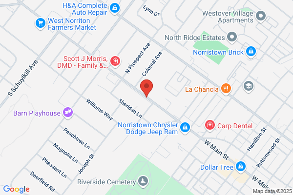 Mario's Tree Service