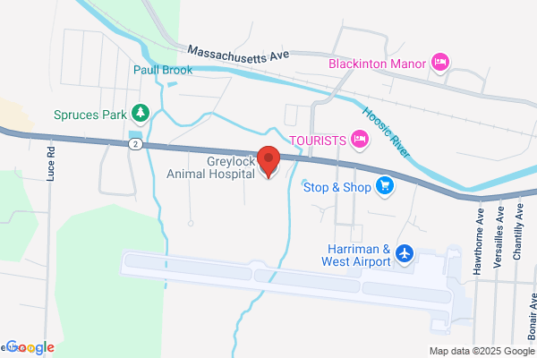 Grey Lock Animal Hospital