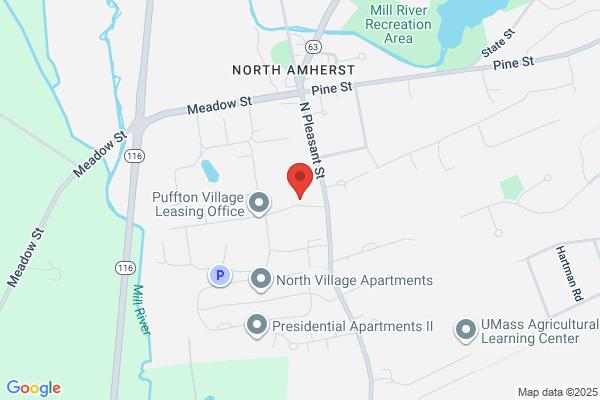Puffton Village Apartments