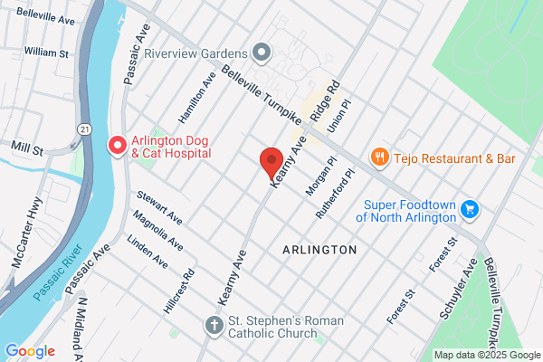 Mr Z Auto Repair