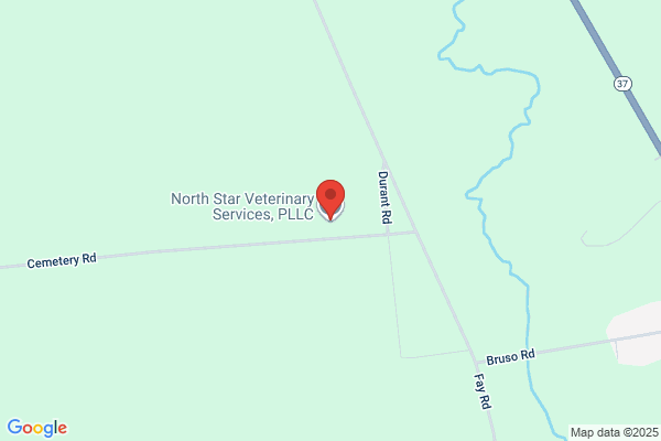 North Bangor Veterinary Clinic