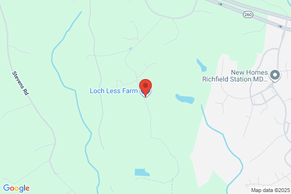 Loch Less Farm