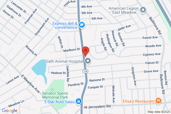 Buenahora Joseph DPM