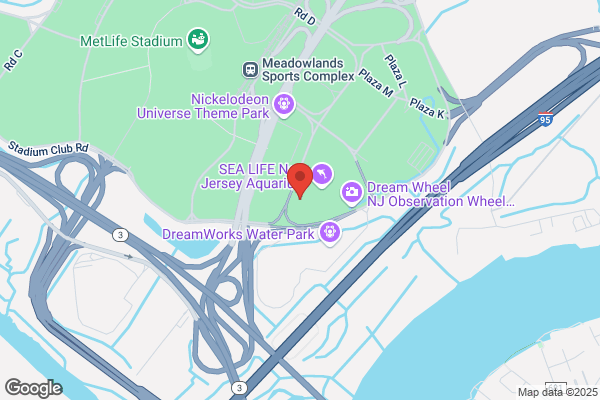 Mrs Fields Cookies