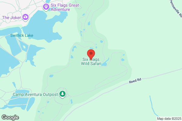 Safari