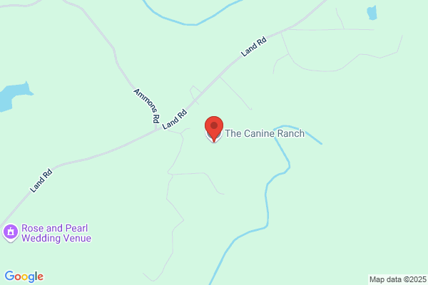 Canine Ranch