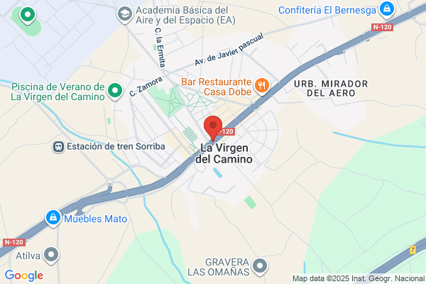 La Virgen Del Camino