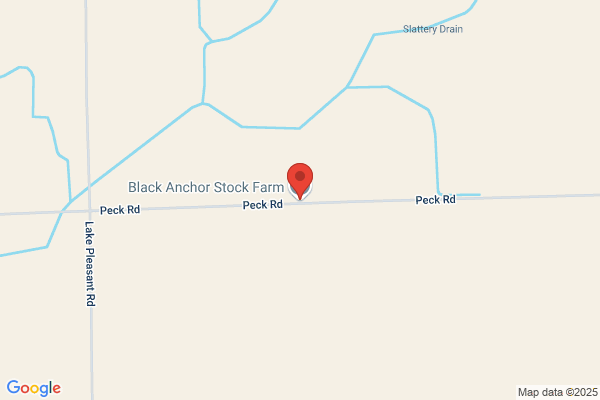 Border Line Farm
