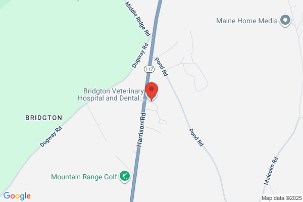Bridgton Veterinary Hospital