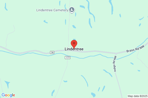 Linden Tree