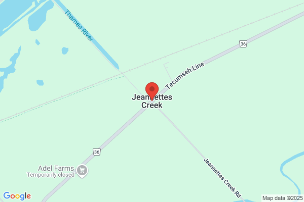 Jeannette's