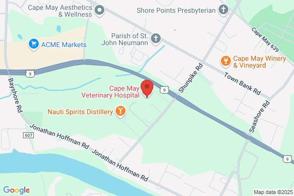 Cape May Veterinary Hospital