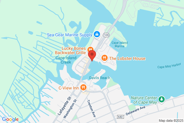 Cape May Whale & Dolphin Watching Research Center