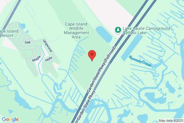Lower Cape May Regional School District, High School