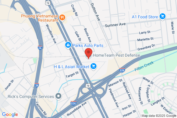 HomeTeam Pest Defense