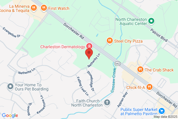 Charleston Endodontics