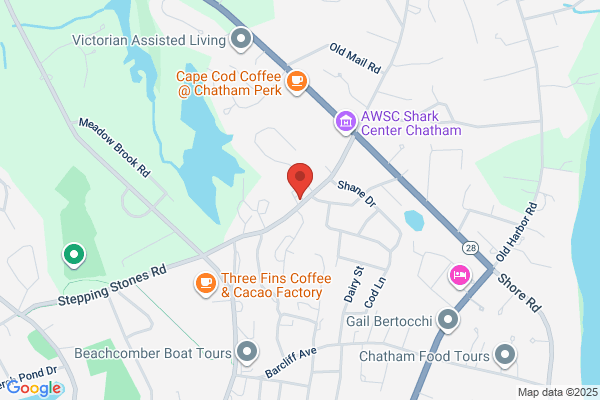 Lower Cape Veterinary Services - Stony Hill