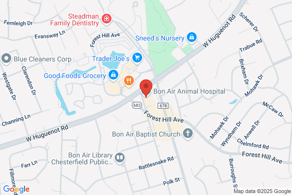Bon Air Chiropractic Clinic