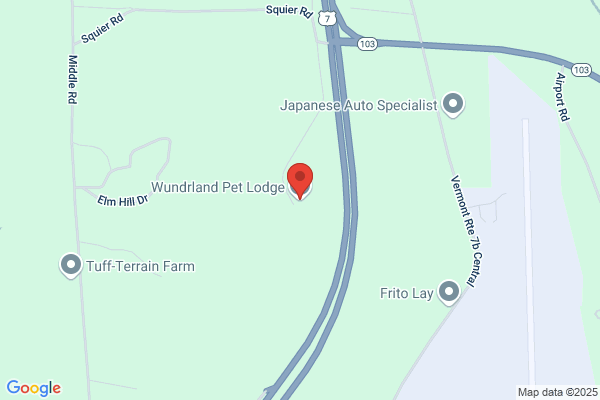 Wundrland Pet Lodge