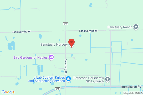 Sanctuary Garden Center Inc