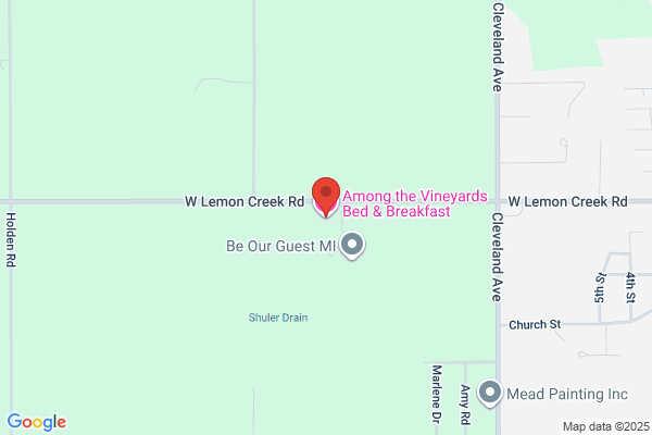 Vineyard Bed & Breakfast