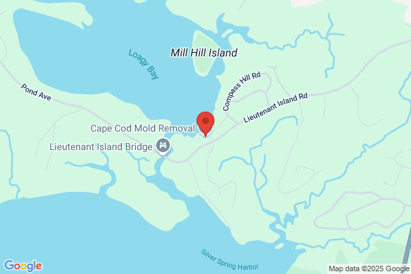 Cape Cod Mold Removal
