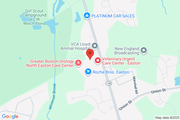 SMG Easton Cardiology
