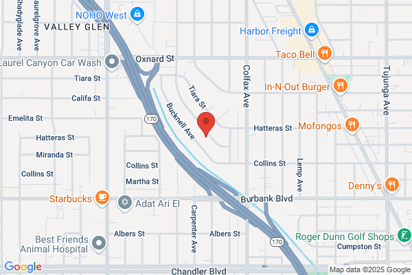 Steven Hill Agency