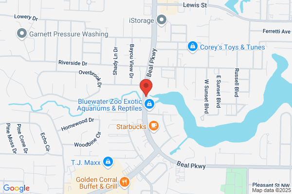 Galaxy Steamer Carpet Cleaner