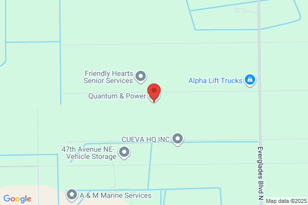 Quantum Elec Inc