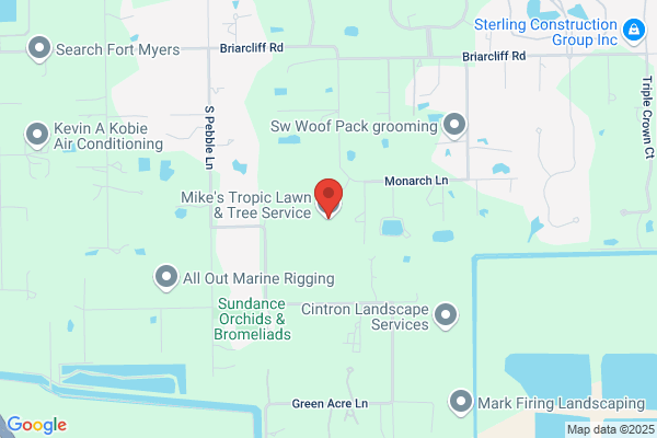 Mike Tompkins Lawn Care & Landscape