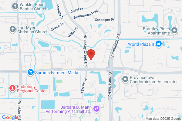 Palm Real Estate Group