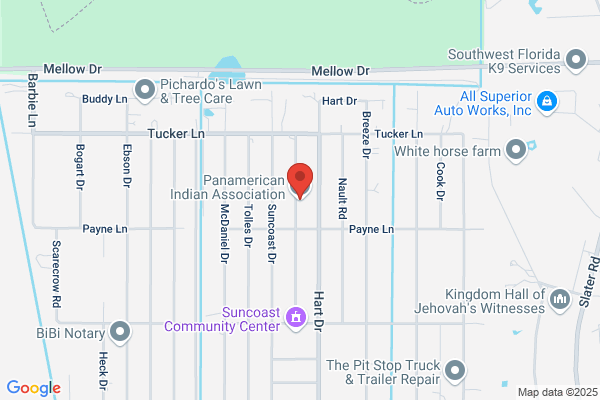 Pan American Indian Association