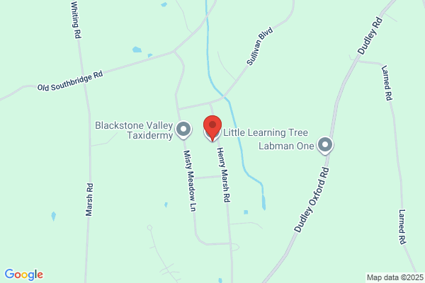 Learning Tree the
