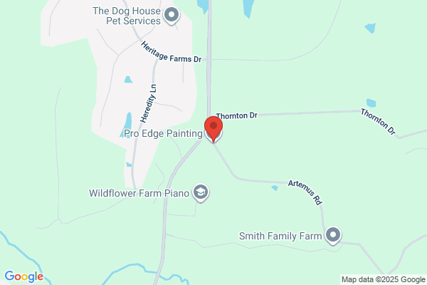 Pro Edge Painting