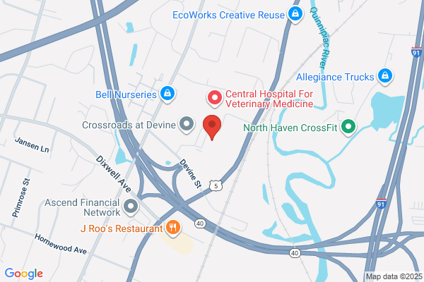 Gaylord Therapy Services, North Haven
