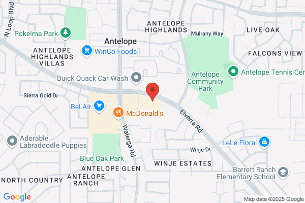 AutoZone Auto Parts