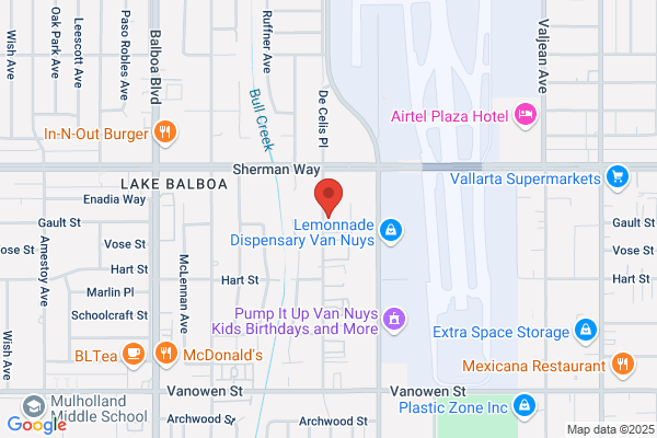 Hollywood Video