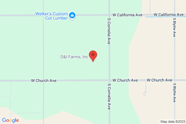 California DPF Service